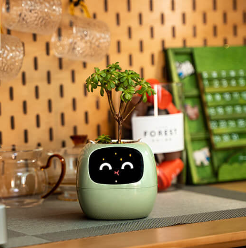 EmojiPlant | Kreativer Emoji Blumentopf