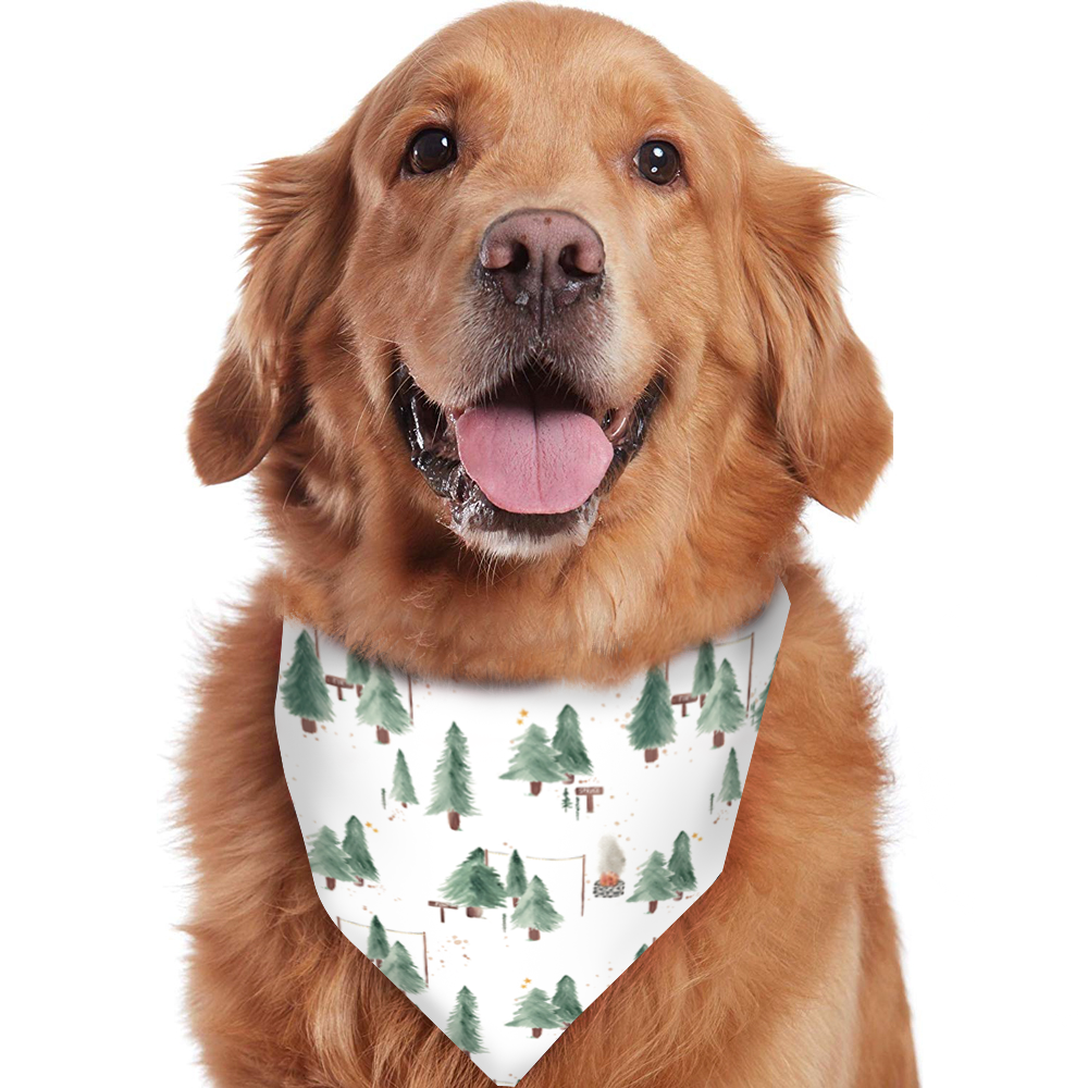 Weißer kleiner Weihnachtsbaum passende Familien-Weihnachtspyjamas | Pyjamas für Erwachsene, Kinder und Hunde