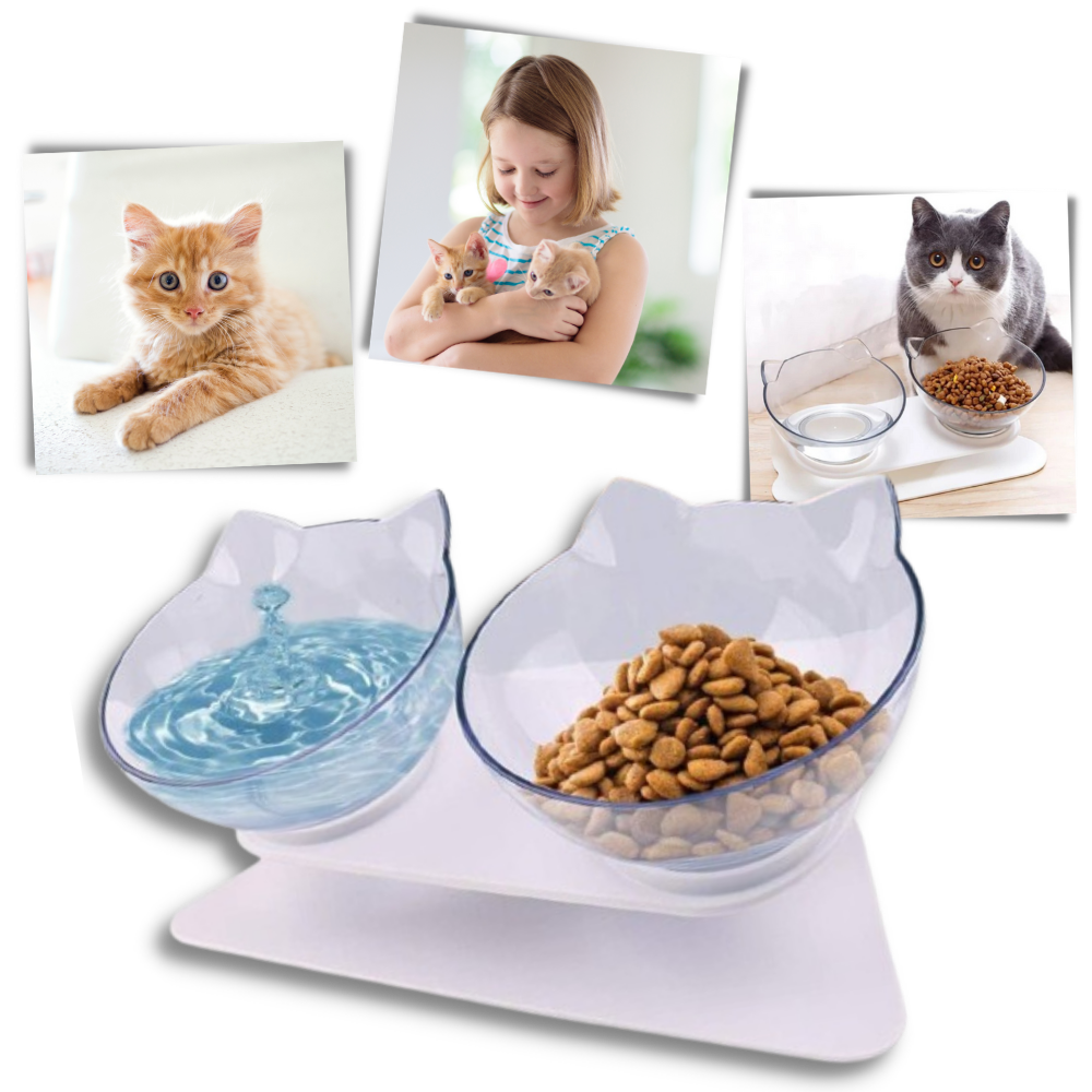 Erhöhter Komfortnapf für Katzen