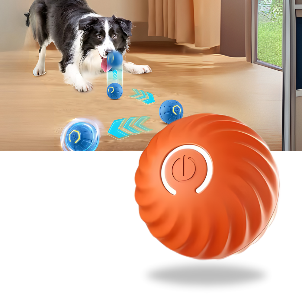 Hindernisvermeidung Hundeball