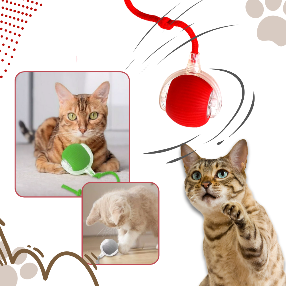 Intelligentes interaktives Katzenspielzeug Ball