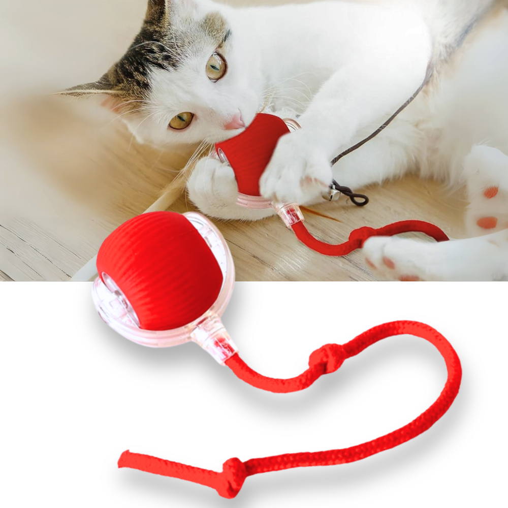 Intelligentes interaktives Katzenspielzeug Ball