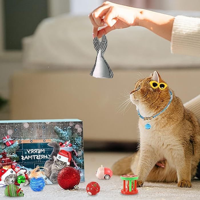 Pawfect | 2025 Adventskalender zum Countdown für Katzen und Hunde