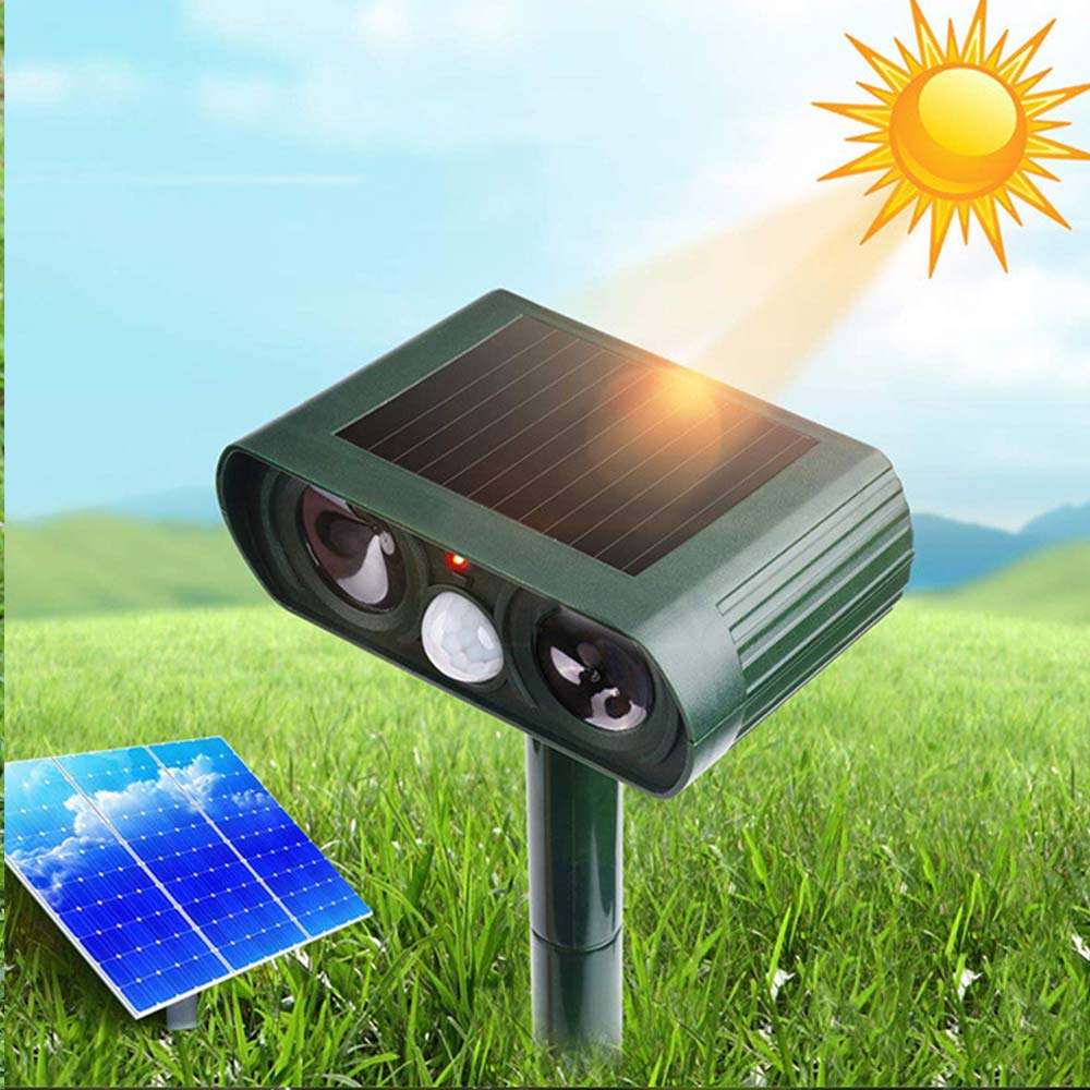 AviGuard Luxe Solar Ultraschall Abschreckgerät | Effektive Abschreckung von Vögeln und Tieren für ruhige Außenbereiche